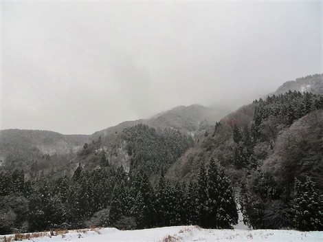 今日も風景は雪ばかりです・・火曜日