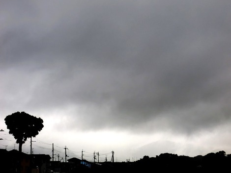 ほぼ一日雨降りばかりでした・・金曜日