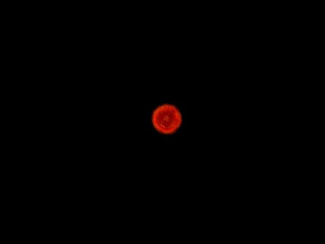 今夜は火星・・お昼は清々しく風景・・