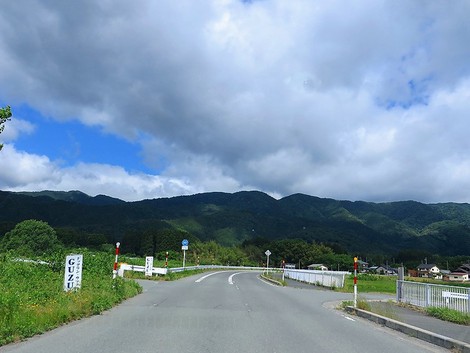 午後は、青空一色で・・メタセコイヤ並木