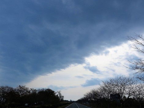 曇り空で、何気ない風景見ながら・・日曜日経過～