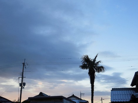薄っすら・・屋根に雪も・・水曜日の朝・・寒っつ！