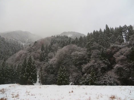 今日も風景は雪ばかりです・・火曜日