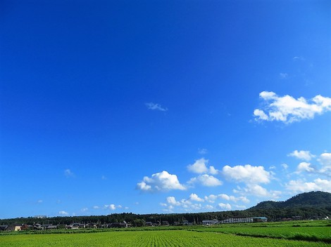台風過ぎて・・夕方の虹・・時雨れて・・
