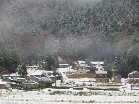 雪里・・日曜日