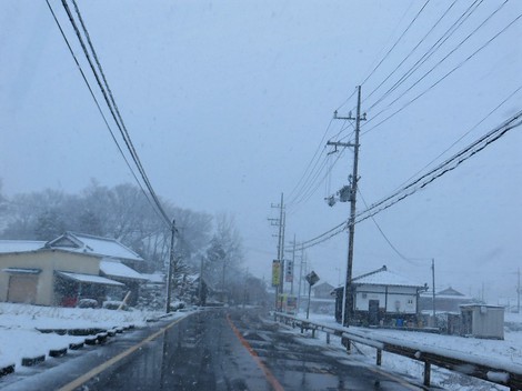 一日降雪と気温0度・・日曜日冬ごもり・・