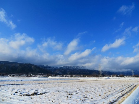 12月29日・・粛々と寒空で・・