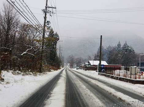 雪里・・日曜日
