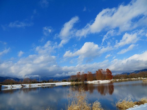 12月29日・・粛々と寒空で・・