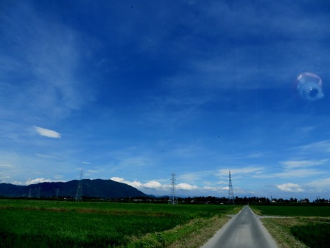 夏でした・・33度