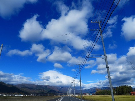 メタセコイヤ並木・・紅葉　　琵琶湖は冷たい晴れ・・水曜日