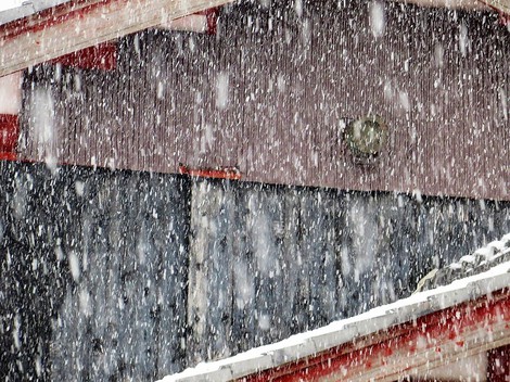一日降雪と気温0度・・日曜日冬ごもり・・