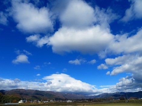 メタセコイヤ並木・・紅葉　　琵琶湖は冷たい晴れ・・水曜日