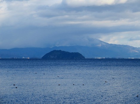 メタセコイヤ並木・・紅葉　　琵琶湖は冷たい晴れ・・水曜日