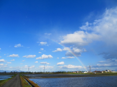 不安定な天候で・・強風も冷たく！でも、「虹」