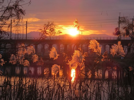心地よい風景が朝から夕まででした・・。