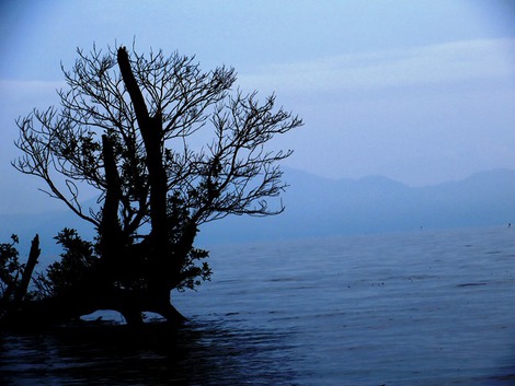 琵琶湖の七夕～～湖上で漁・・