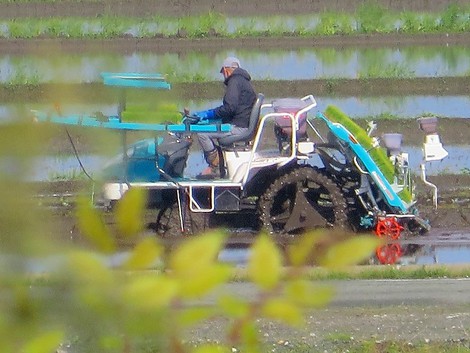田植えが始まった・・昭和の日の一日
