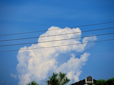 梅雨明けの模様で・・一気に夏！！暑っっ