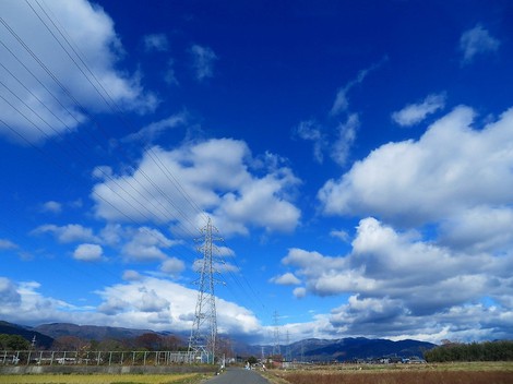 メタセコイヤ並木・・紅葉　　琵琶湖は冷たい晴れ・・水曜日