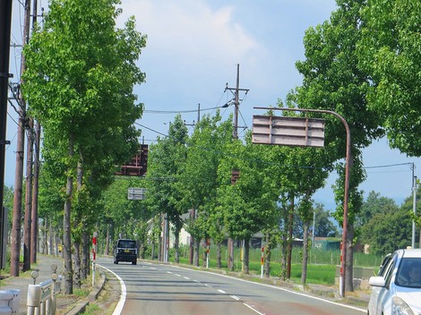 梅雨明けの模様で・・一気に夏！！暑っっ