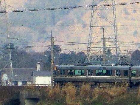 土筆が・・足元に知らぬ間に・・