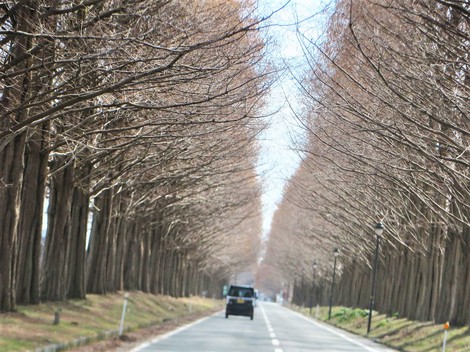 冷えた朝・・春冷えの青い空も・・木曜日
