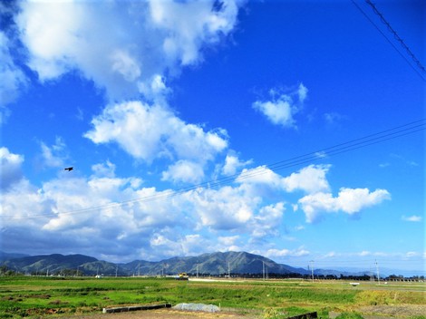 田植え作業が始まった・・日曜日