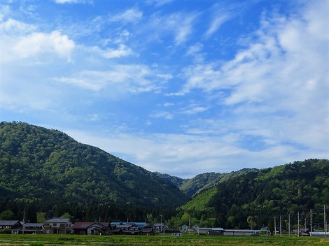 初任給・・・田植えも始まった