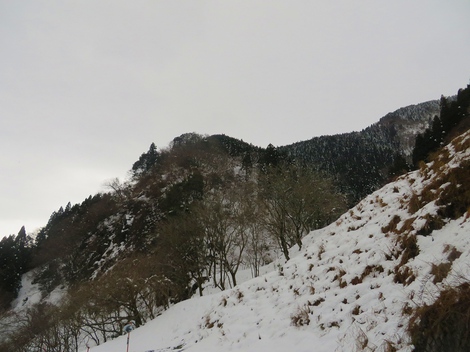 今日も風景は雪ばかりです・・火曜日