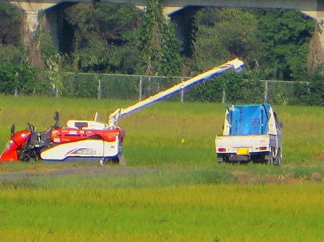 ３９、2度だったそうで・・