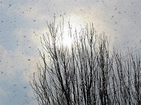 時々の降雪と・・低温が継続の木曜日でした