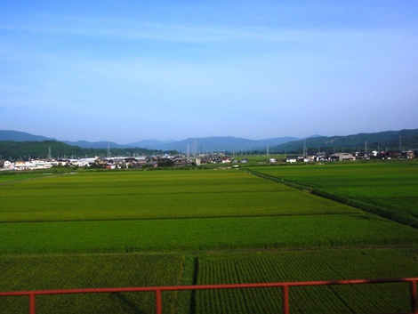 朝夕は少し涼しげ気温にも・・