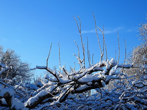 定温で青空で・・月曜日