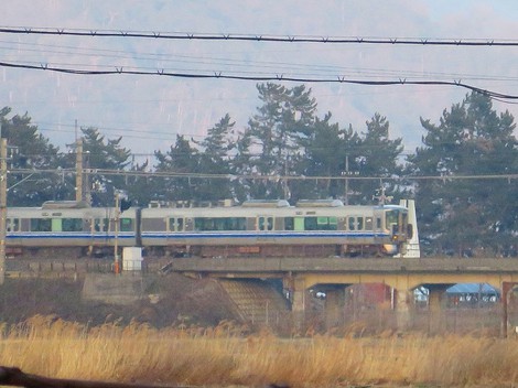 土筆が・・足元に知らぬ間に・・