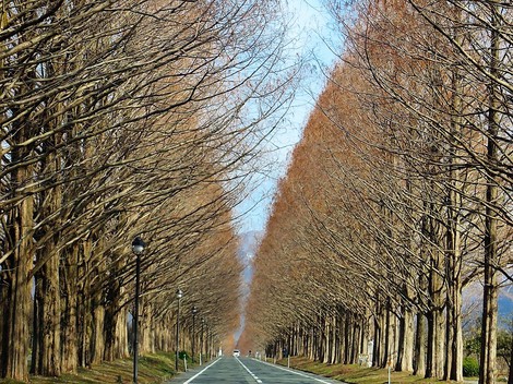 見えるものが春になって・・土曜日