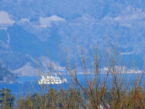 春らしい晴れの空模様でした