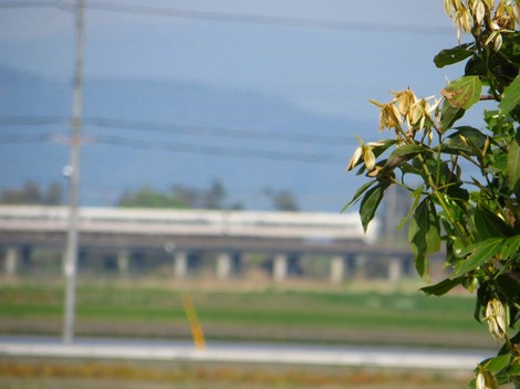 春晴れの月曜日・・明日は雨か？