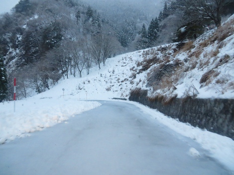 今日も風景は雪ばかりです・・火曜日