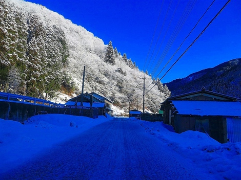 建国記念日～小雪は春雪・・一日の灰色の空だった「