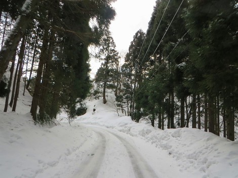 まだ寒いけど・・大雪は遠ざかったようで・・