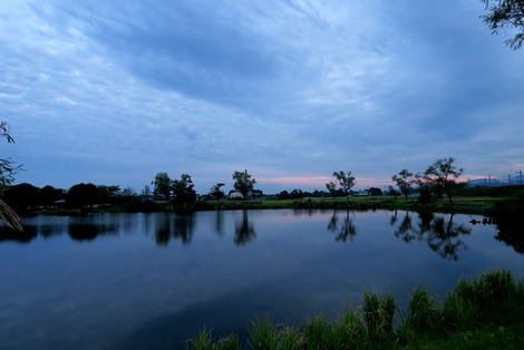 夕方は秋の空・・でした