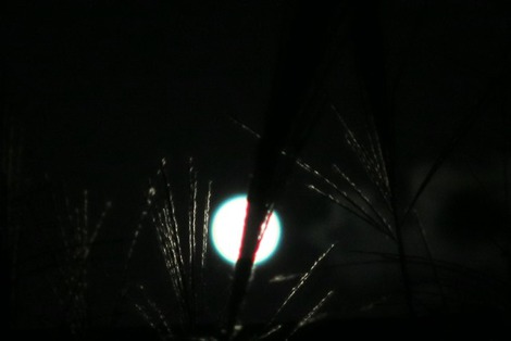 秋の琵琶湖・・今夜はデカい月
