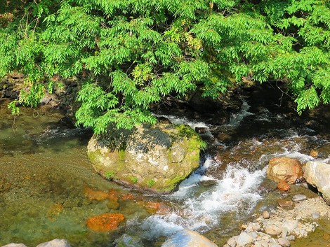 晴れの月曜日でしたが・・少しもやって琵琶湖も