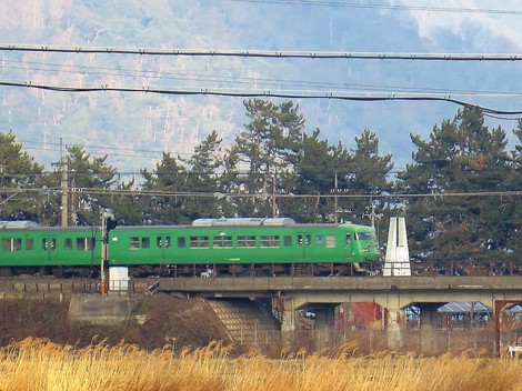土筆が・・足元に知らぬ間に・・