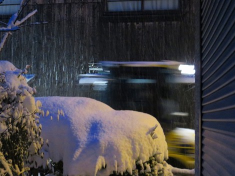 玄関先30ｾﾝﾁ・・高島市に大雪警報
