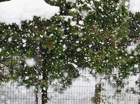 時々の降雪と・・低温が継続の木曜日でした