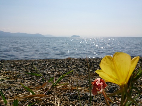 キラリ琵琶湖