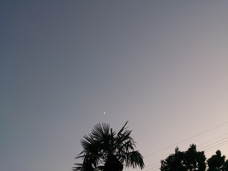 今日の一日・・空見て花見て・・。