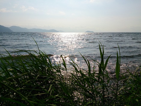 ７月～やっ